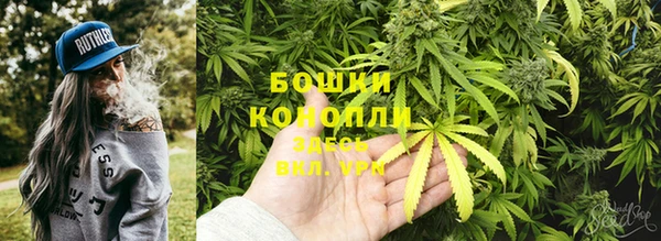 ECSTASY Майский