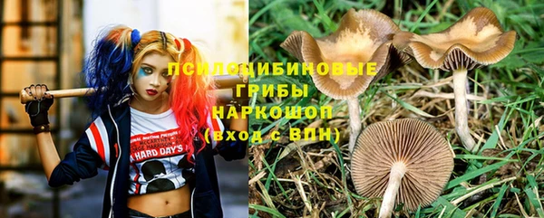 каннабис Магадан