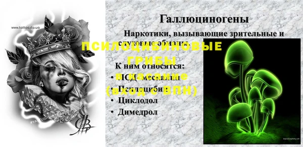 ECSTASY Майский