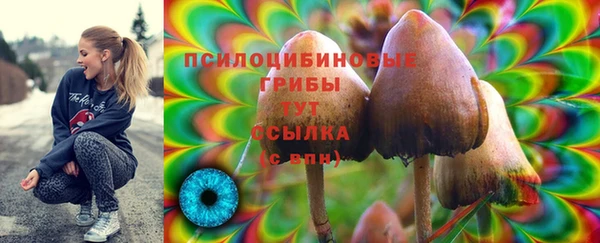ECSTASY Майский