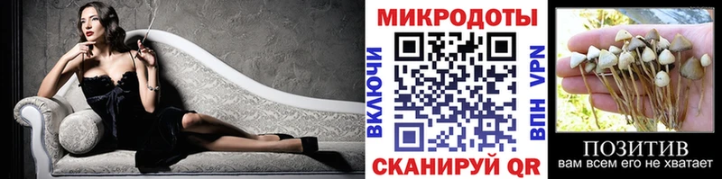 купить наркотики сайты  Черноголовка  darknet состав  Псилоцибиновые грибы GOLDEN TEACHER 